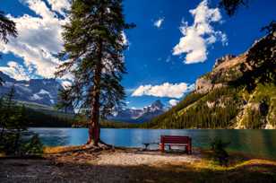 Lake O'Hara-4608-2